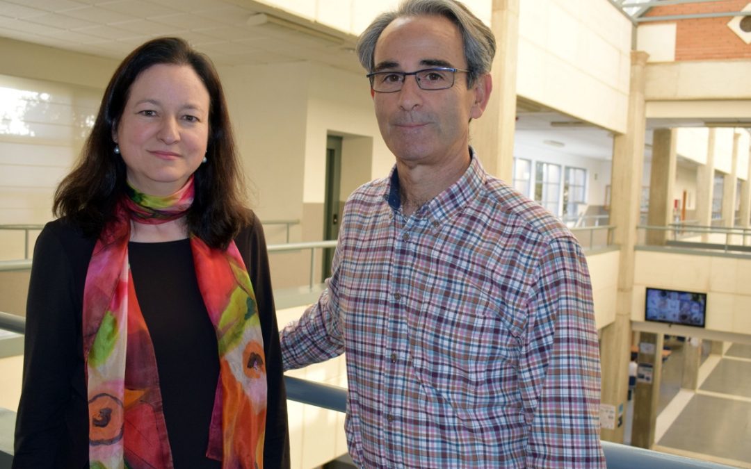 La Fundación Camilo Prado premia a dos profesores por un artículo sobre creación de empresas