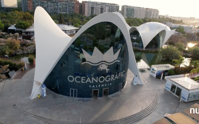 El Oceanogràfic logra la digitalización integral de sus datos gracias a Nunsys Group